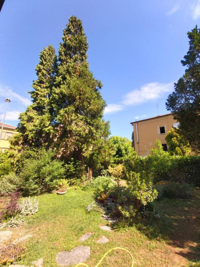 B&B Rustic Chic Casa Salva Molinella Exteriör bild